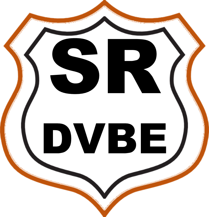 Safe Roads DVBE