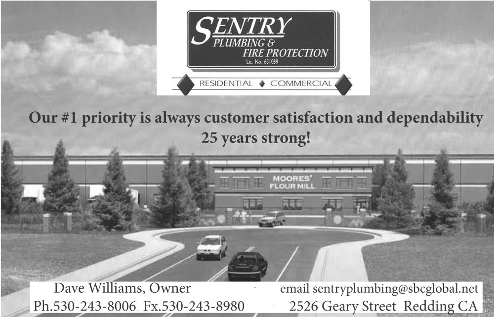Sentry, Inc. (Plumbing & Fire Protection)