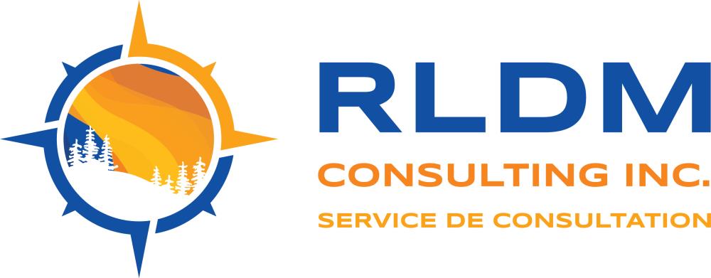 RLDM Consulting Inc. Service de consultation