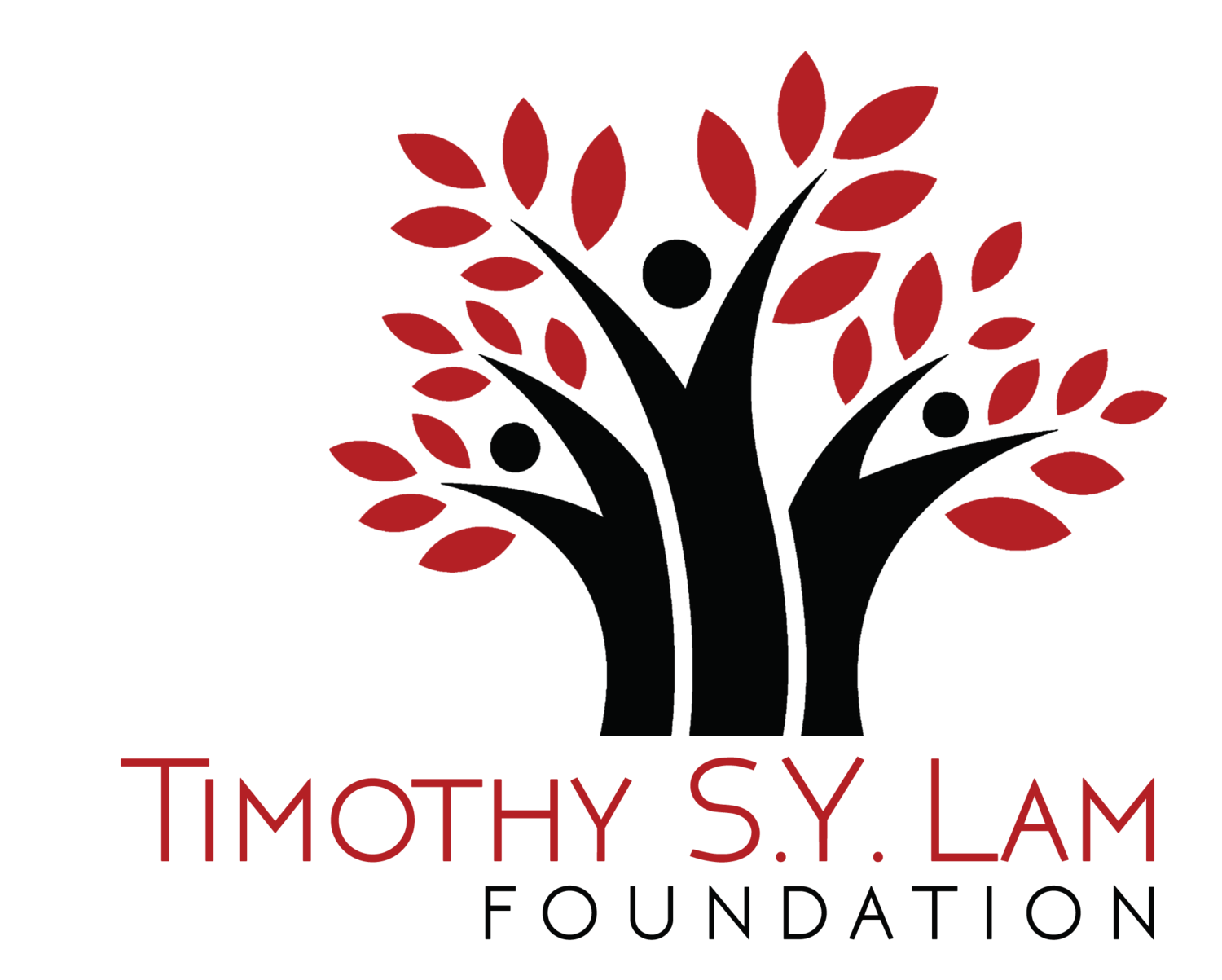 Timothy SY Lam Foundation