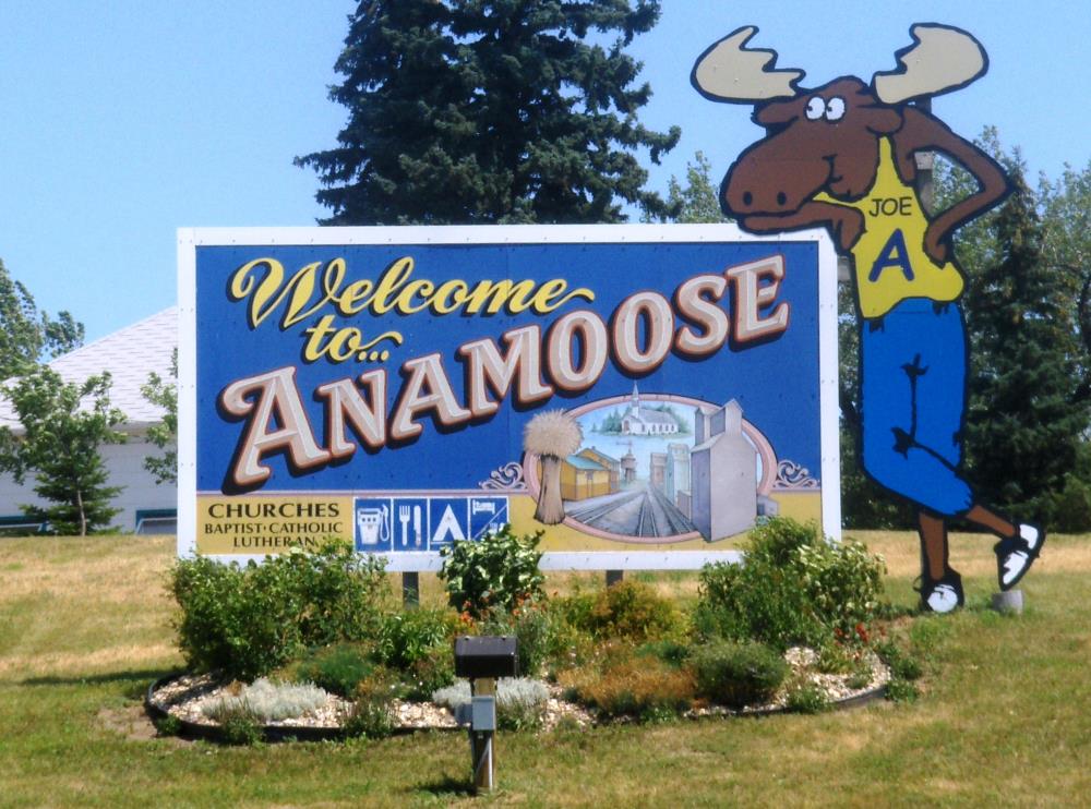 Anamoose