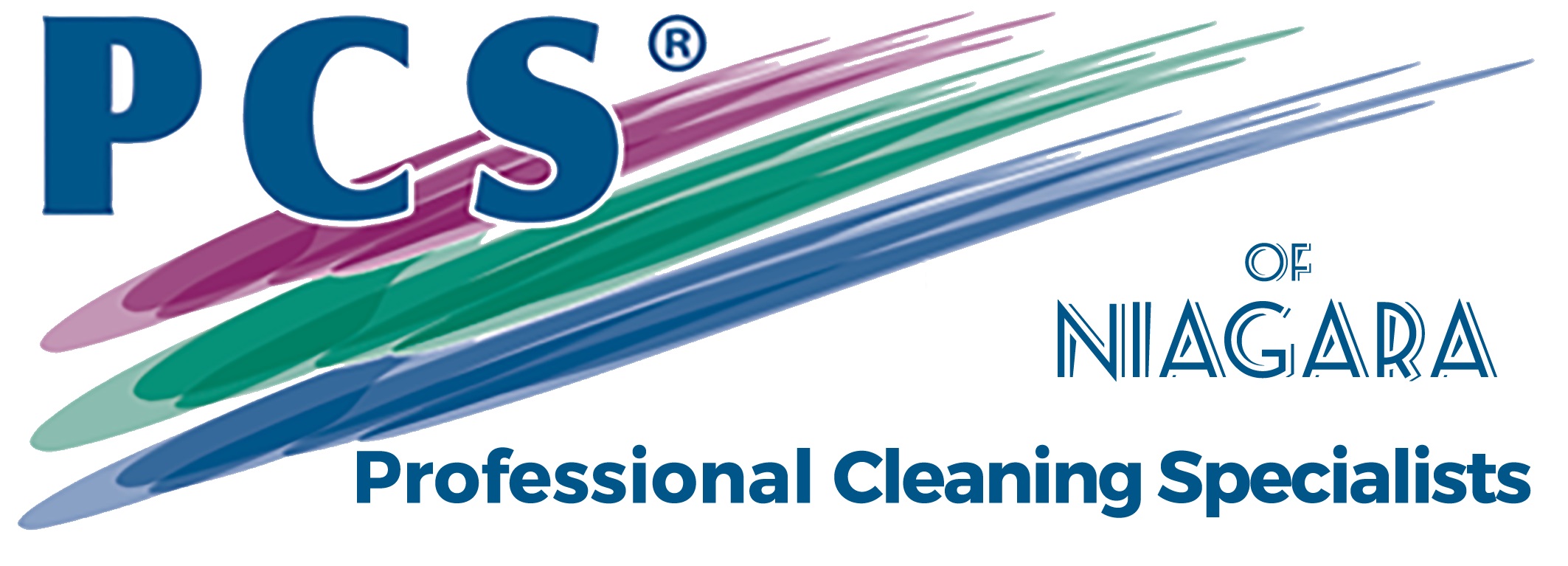 Professional Cleaning Specialists
