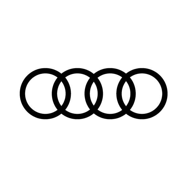 Audi Niagara