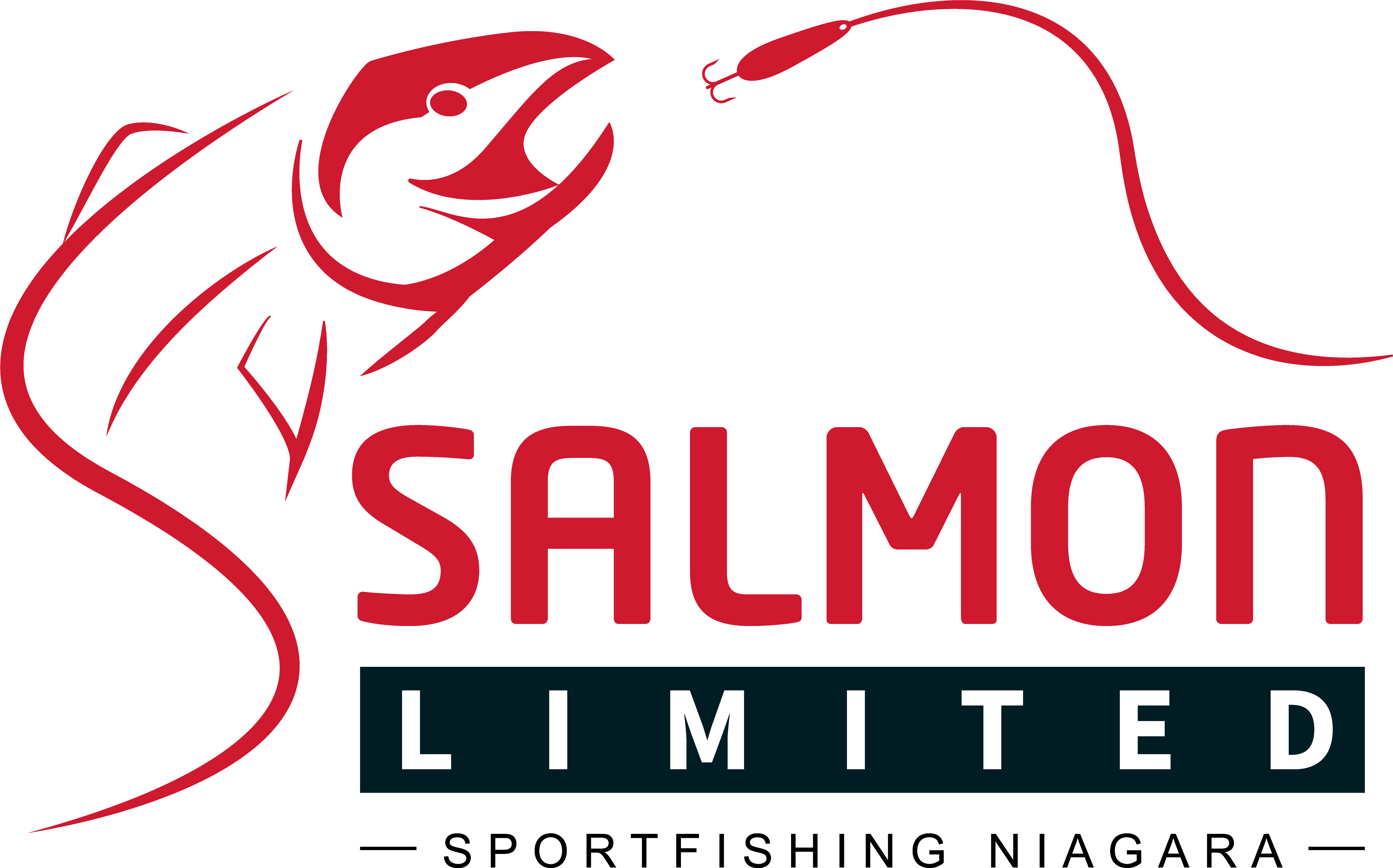 Salmon Limited Sportfishing Niagara