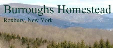 Burroughs Homestead LLC