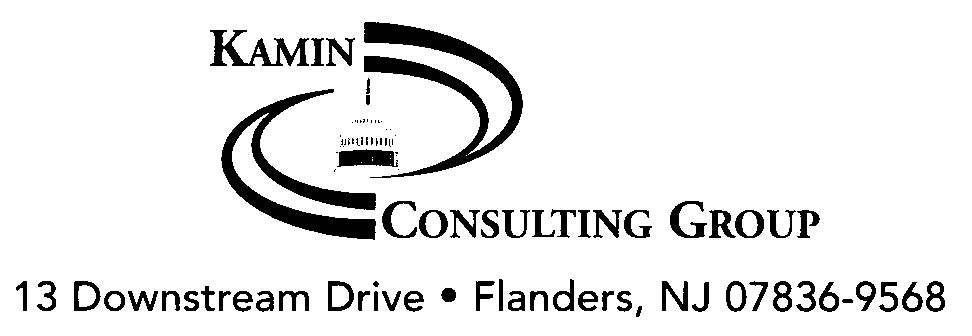 Kamin Consulting Group