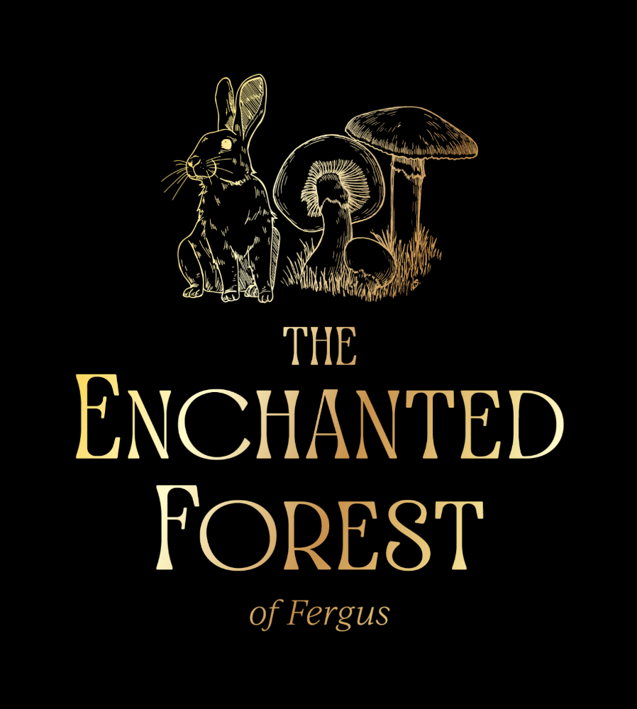 The Enchanted Forest of Fergus