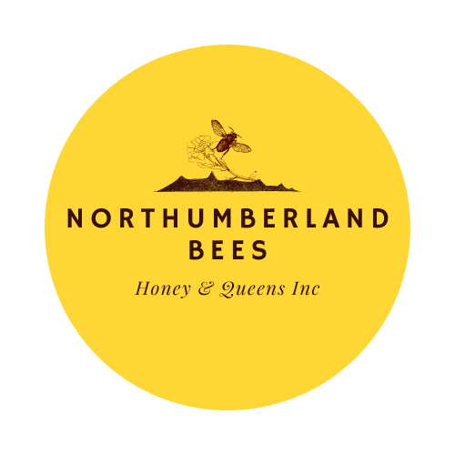 Northumberland Bees and Queens