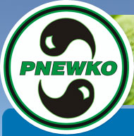 Pnewko Trucking Ltd