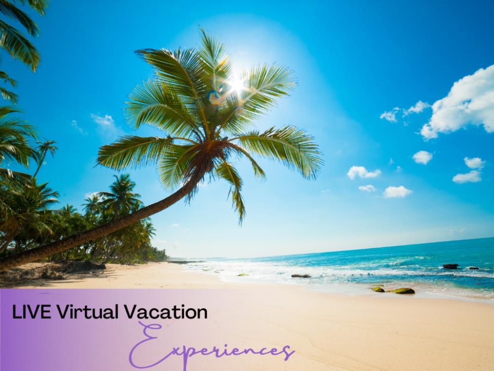 LIVE Virtual Vacation Experiences