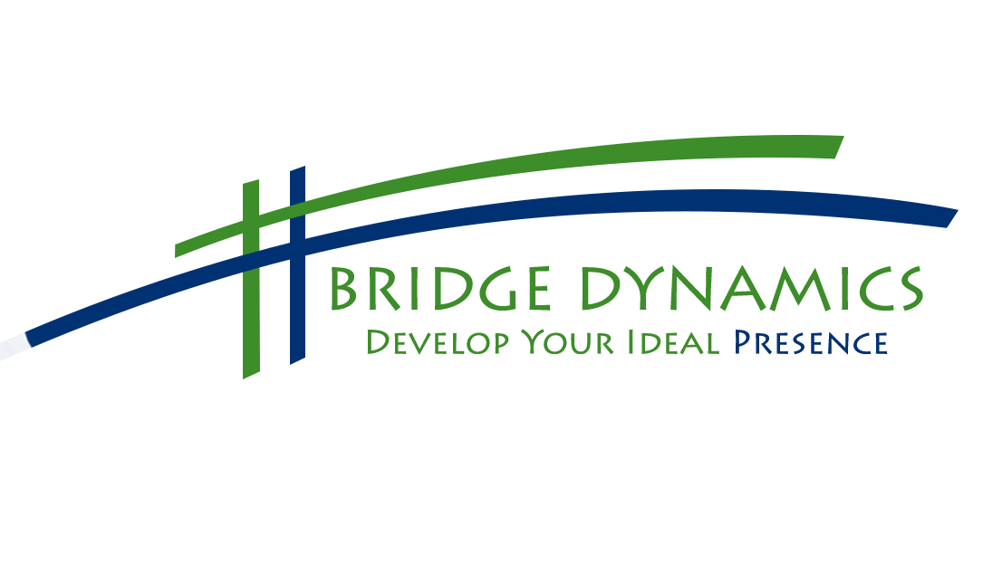 Bridge Dynamics