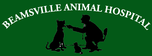 Beamsville Animal Hospital