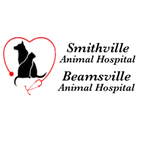 Smithville Animal Hospital
