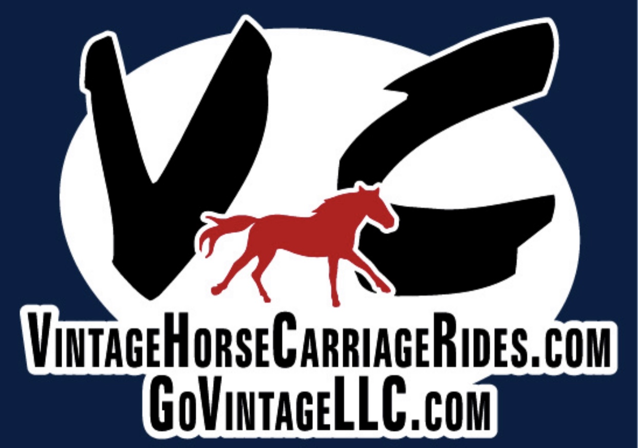 Vintage Carriage Co LLC