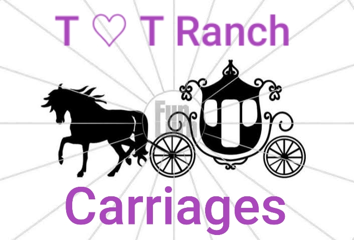T  T Ranch and Carriages