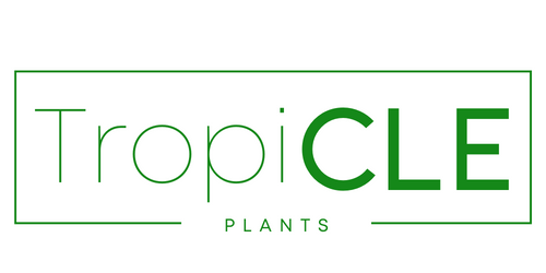 TropiCLE Plants