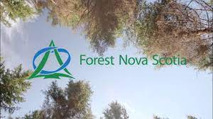 Forest Nova Scotia