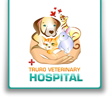 Tidal Veterinary Services Inc.