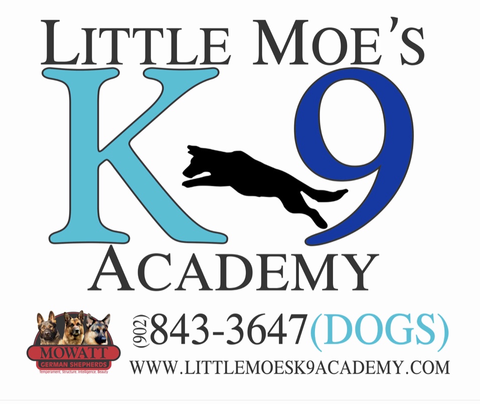 Little Moe's K9 Academy