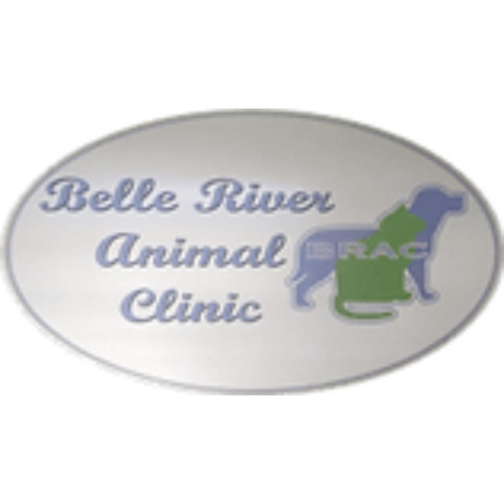 Garg Veterinarian Professional Corporation/Belle River Vet