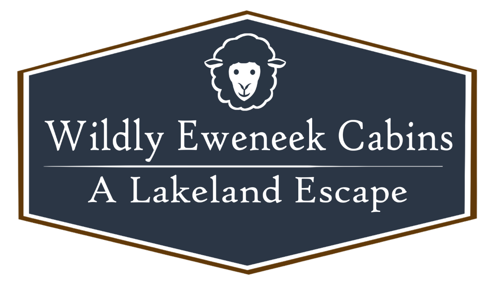 Wildly Eweneek Cabins