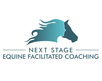 Next Stage Coaching and Facilitation