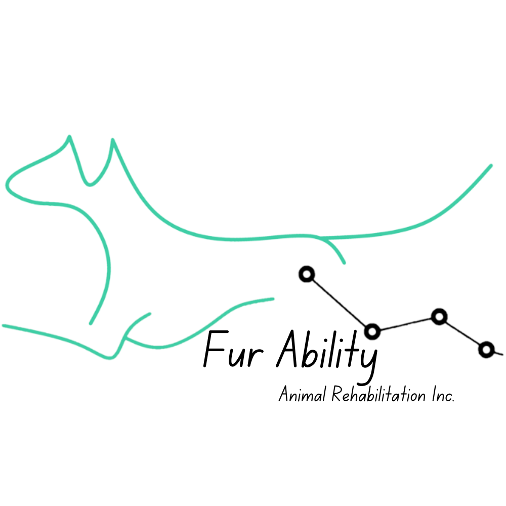Fur Ability Animal Rehabilitation Inc.