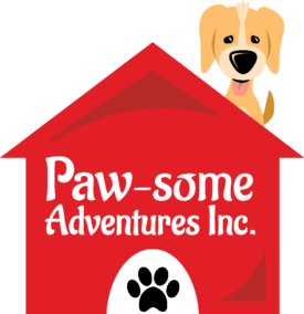 Paw-Some Adventures