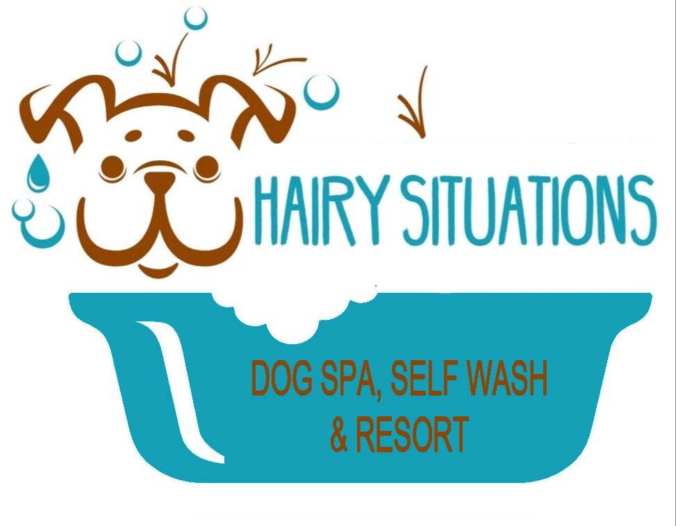 Hairy Situations Dog Spa, Self Wash & Resort