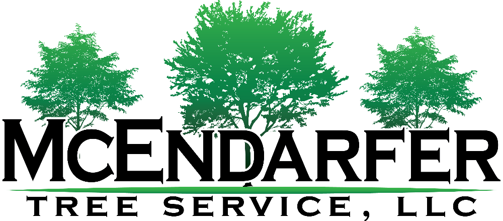 McEndarfer Tree Service, LLC