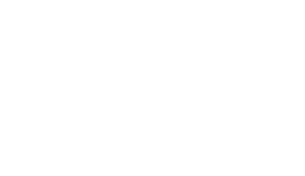 Blue Chute Cottage and Guiding Company