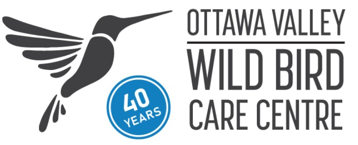 Ottawa Valley Wild Bird Centre