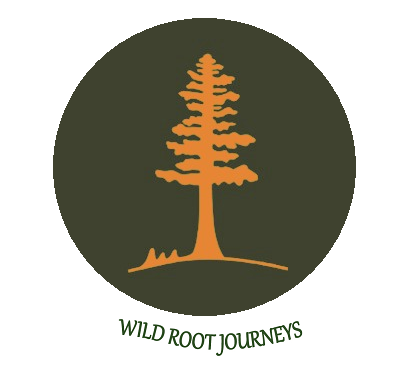 Wild Root Journeys