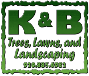 K&B Tree & Lawn Care