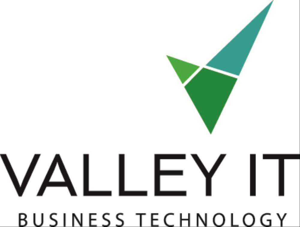 VALLEY IT PROFESSIONAL CONSULTING