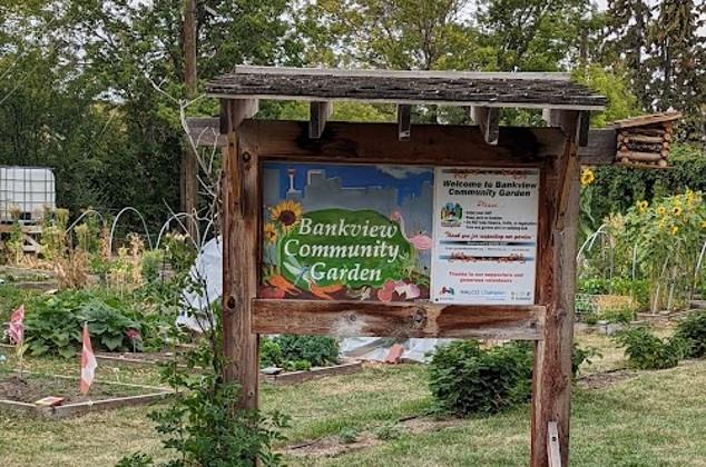 Bankview Community Association Garden