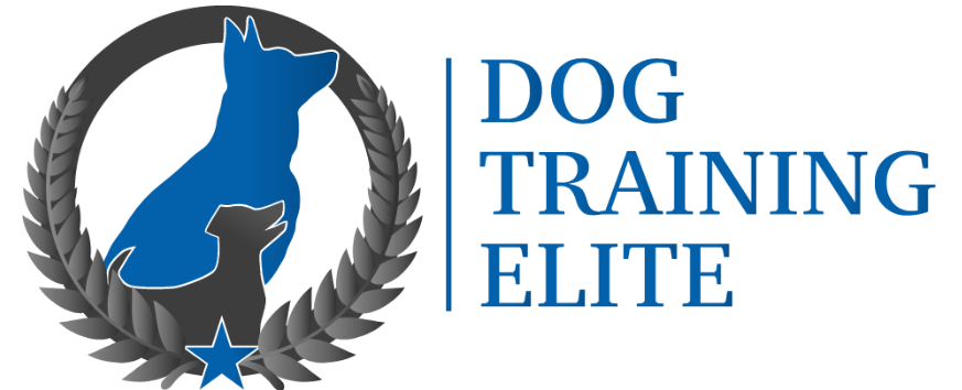 Dog Training Elite - Northeast Atlanta