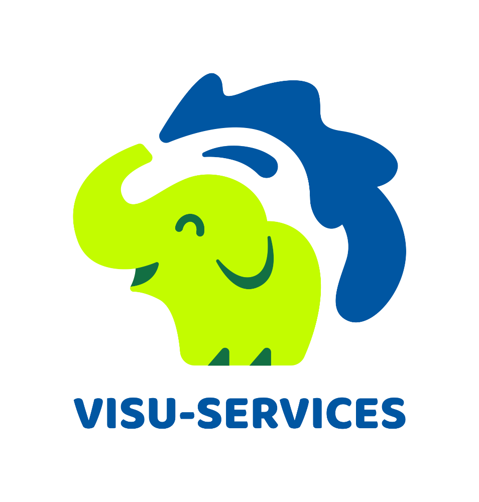 VISU-SERVICES LLC