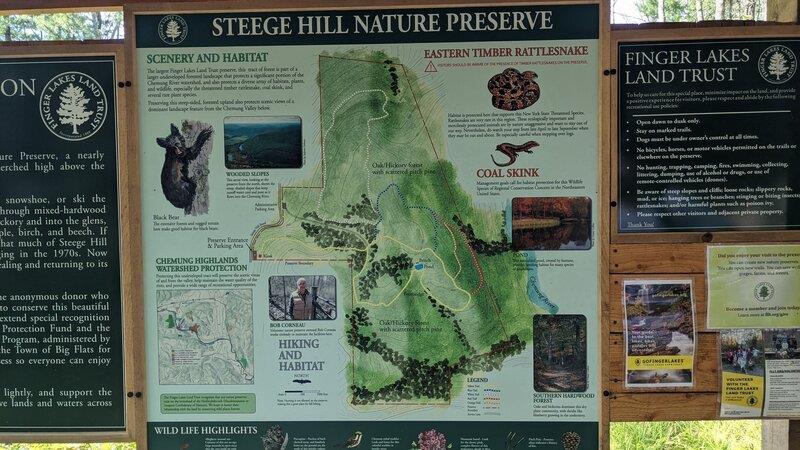 Steege Hill Nature Preserve