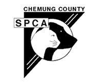 Chemung County Humane Society & SPCA