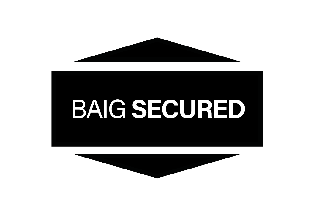 Baig Security