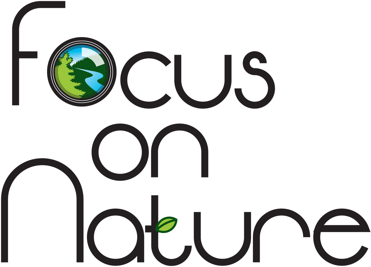 Focus on Nature