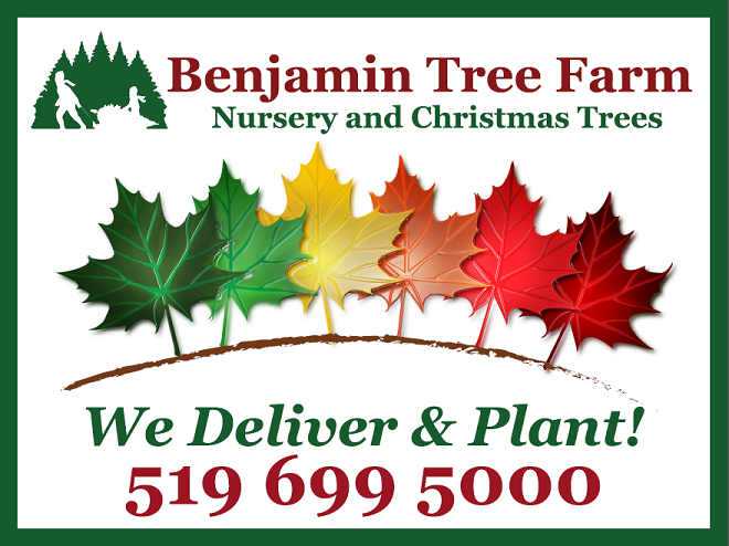Benjamin Tree Farm