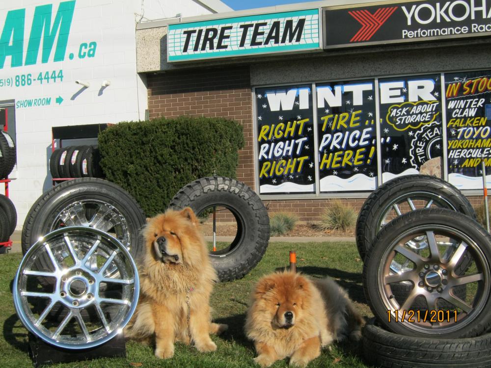 Tire Team Centres Inc