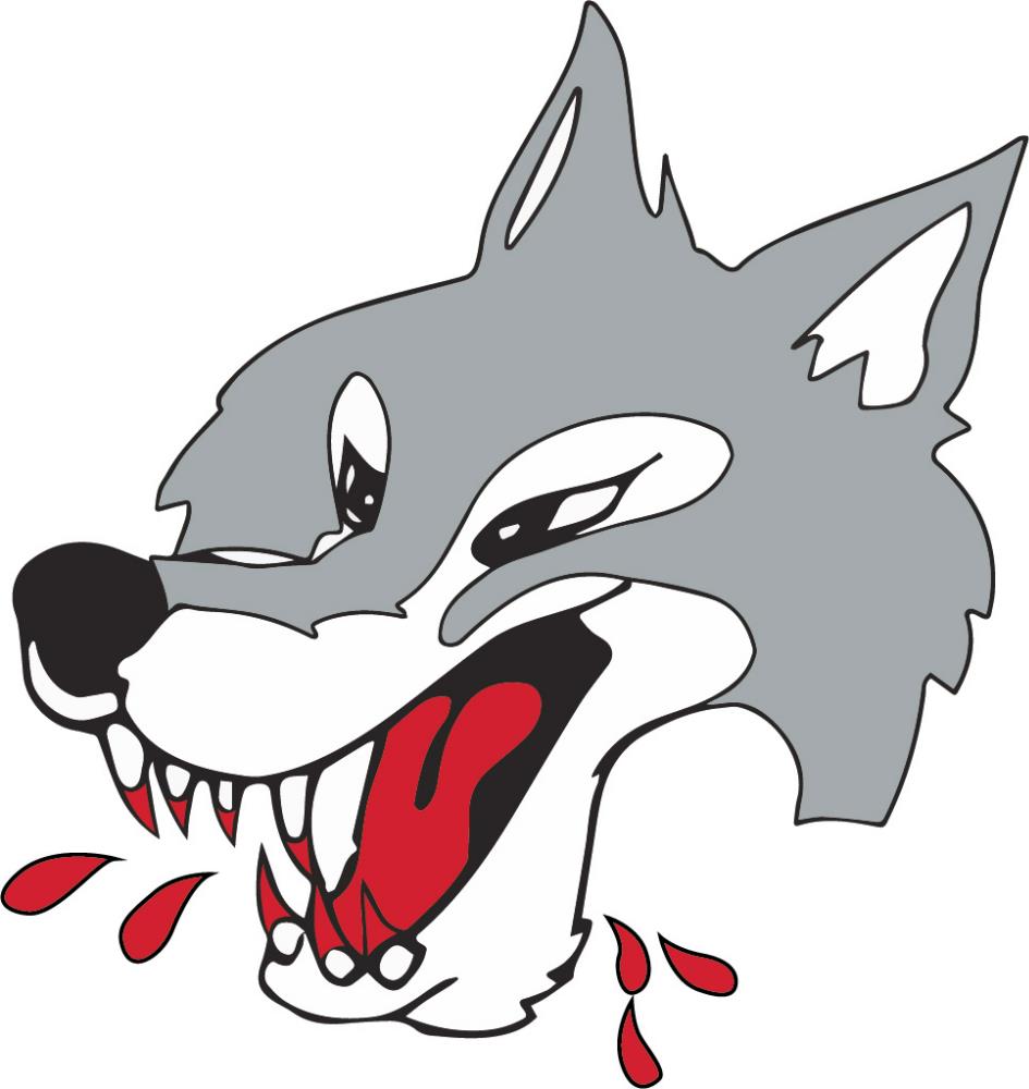 Sudbury Wolves (Hockey Club Ltd)